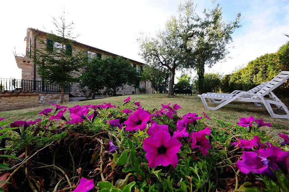 Colle Degli Olivi Snc Vendégház Assisi Kültér fotó