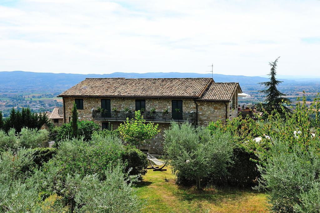 Colle Degli Olivi Snc Vendégház Assisi Kültér fotó